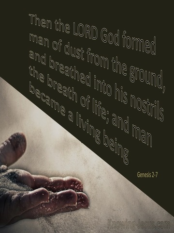 Genesis 2:7 God Formed Man From The Dust (gold)